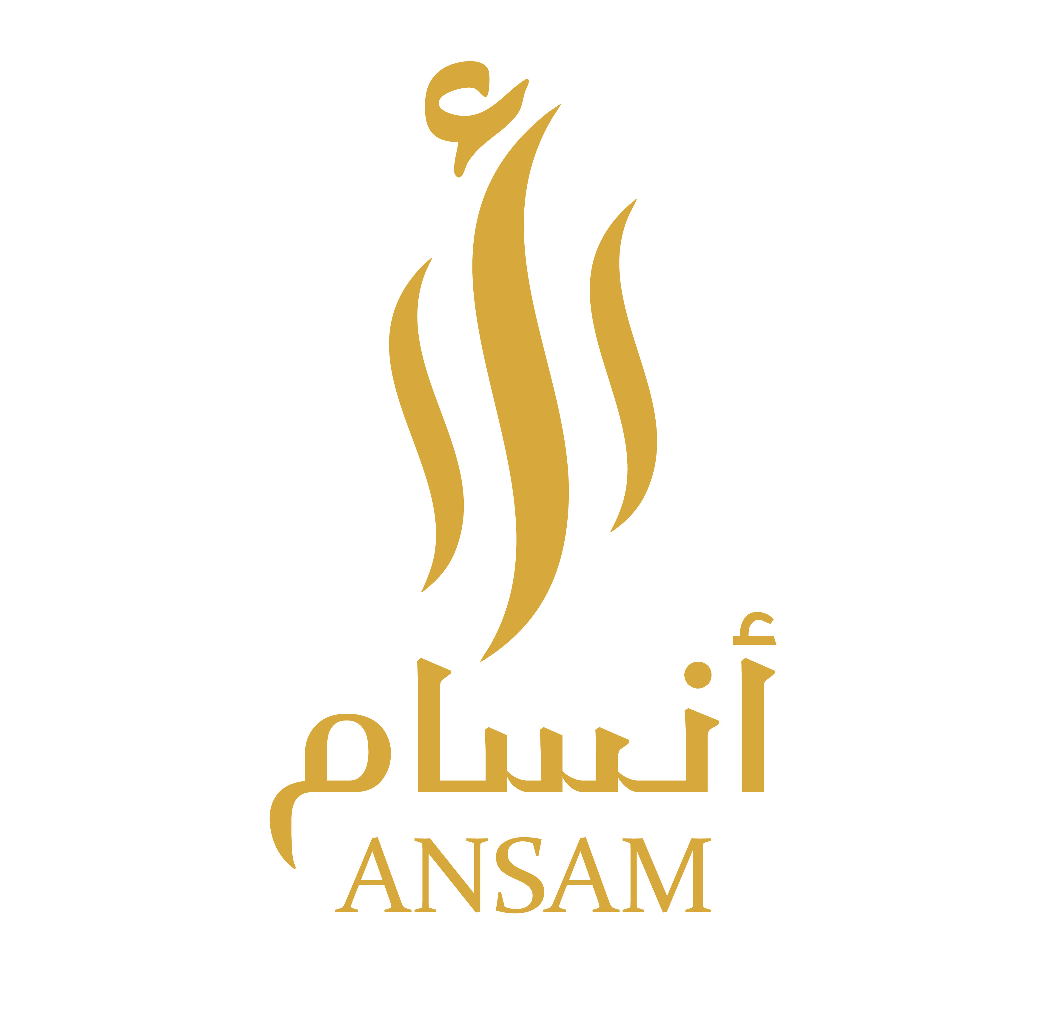 Ansam